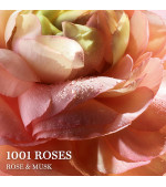 ABSOLUE 1001 ROSES