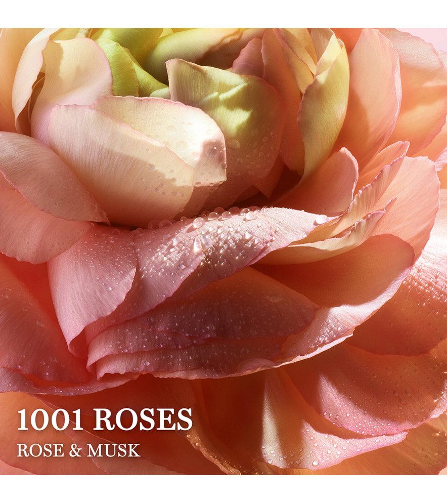 ABSOLUE 1001 ROSES