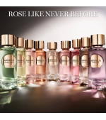 ABSOLUE 1001 ROSES