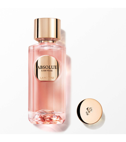 ABSOLUE 6AM ROSE