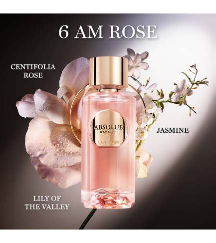 ABSOLUE 6AM ROSE