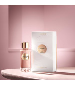 ABSOLUE 6AM ROSE