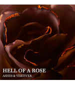 ABSOLUE HELL OF A ROSE