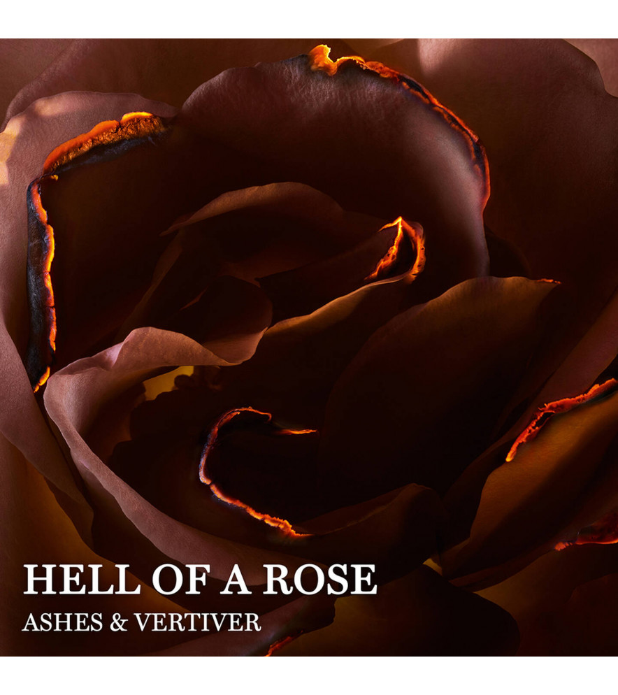 ABSOLUE HELL OF A ROSE