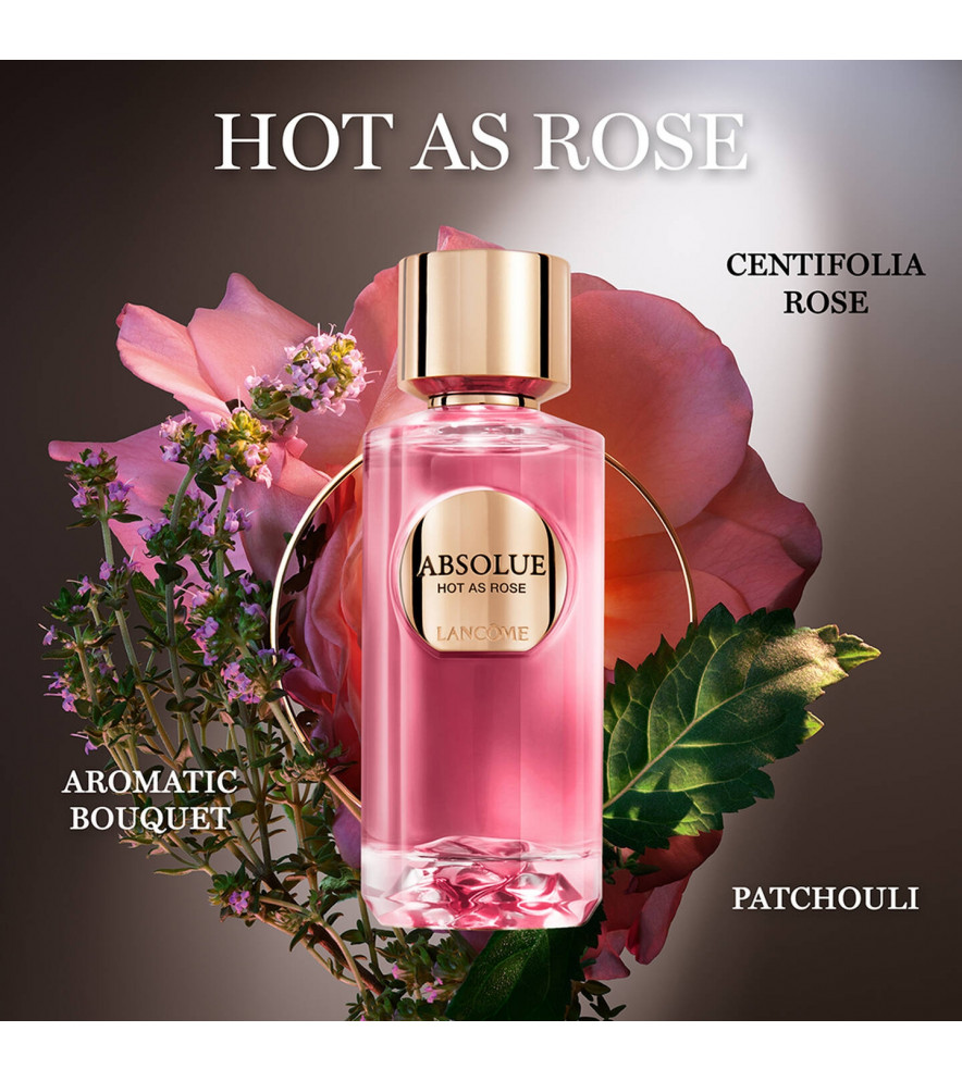 ABSOLUE HOT AS ROSE