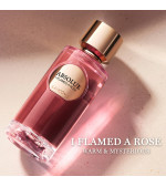 ABSOLUE I FLAMED A ROSE