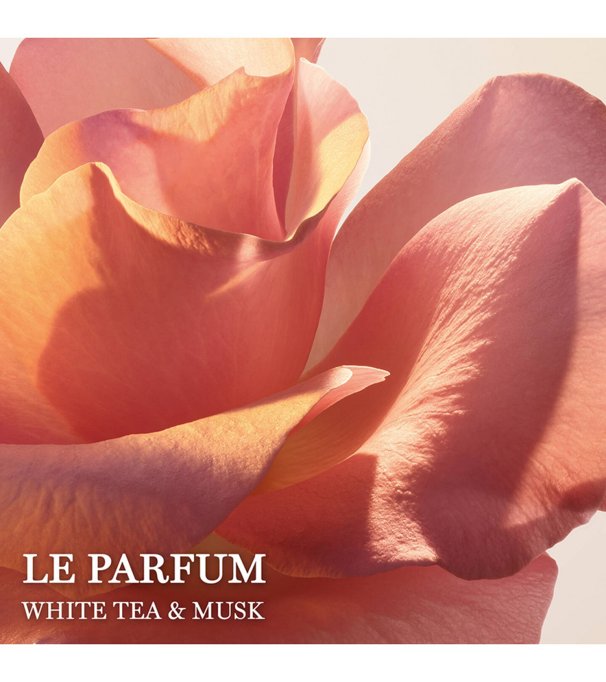 ABSOLUE LE PARFUM