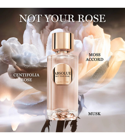 ABSOLUE NOT YOUR ROSE