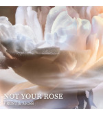 ABSOLUE NOT YOUR ROSE